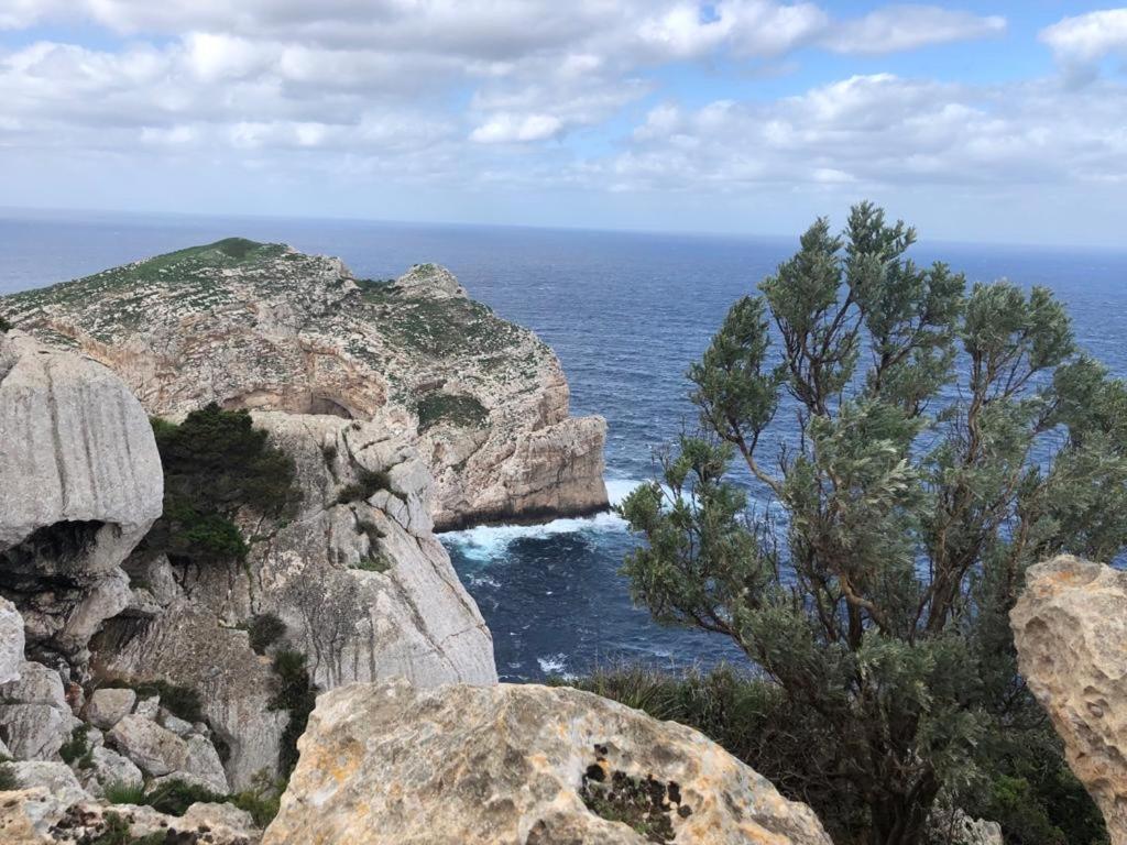Appartamento Centro Del Porto アルゲーロ エクステリア 写真